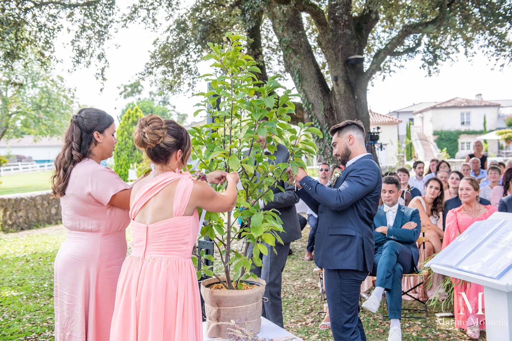 rituel arbre à voeux